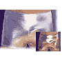 Shorts - E6072 - Shorts